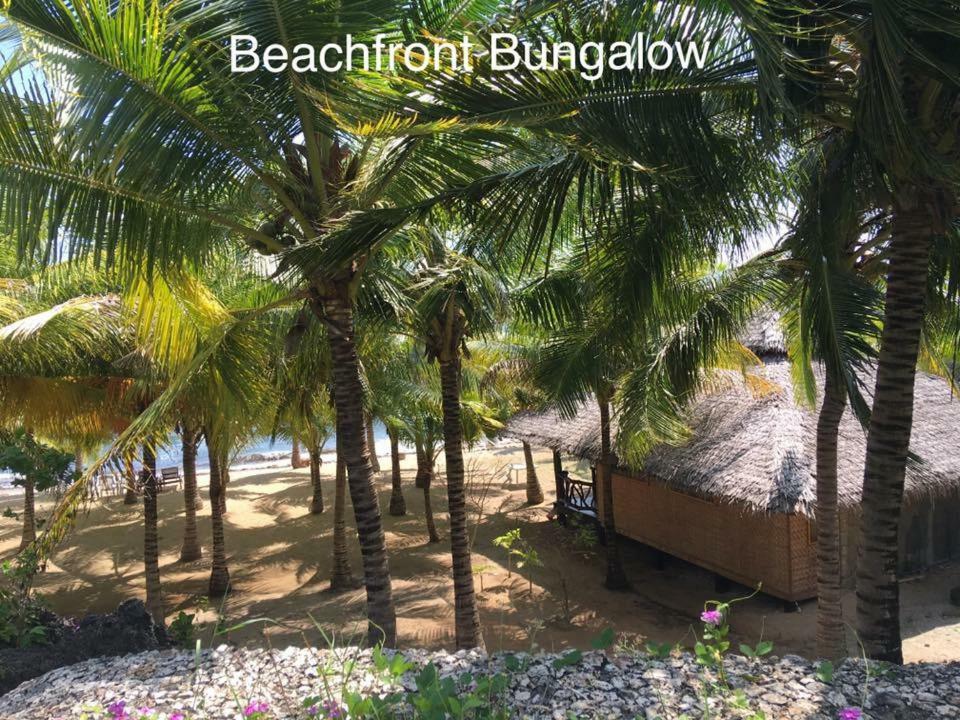 Islandia Beach Resort Siquijor Extérieur photo